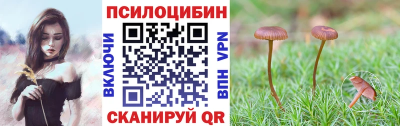 блэк спрут   Злынка  Псилоцибиновые грибы прущие грибы 